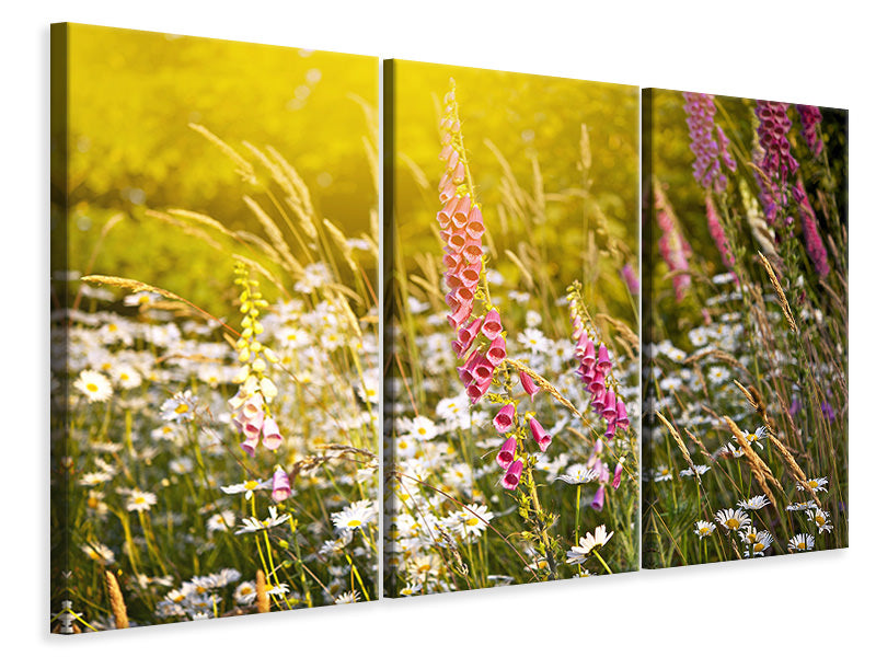 Leinwandbild 3-teilig Sommerliche Blumenwiese