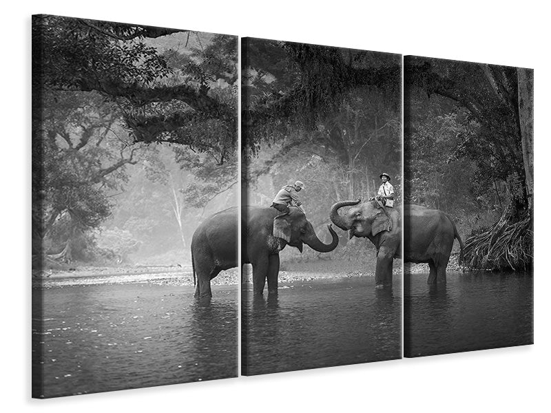 Leinwandbild 3-teilig Zwei Elefanten