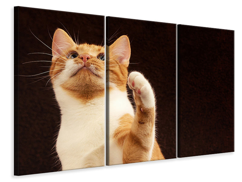 Leinwandbild 3-teilig Achtung kluge Katze