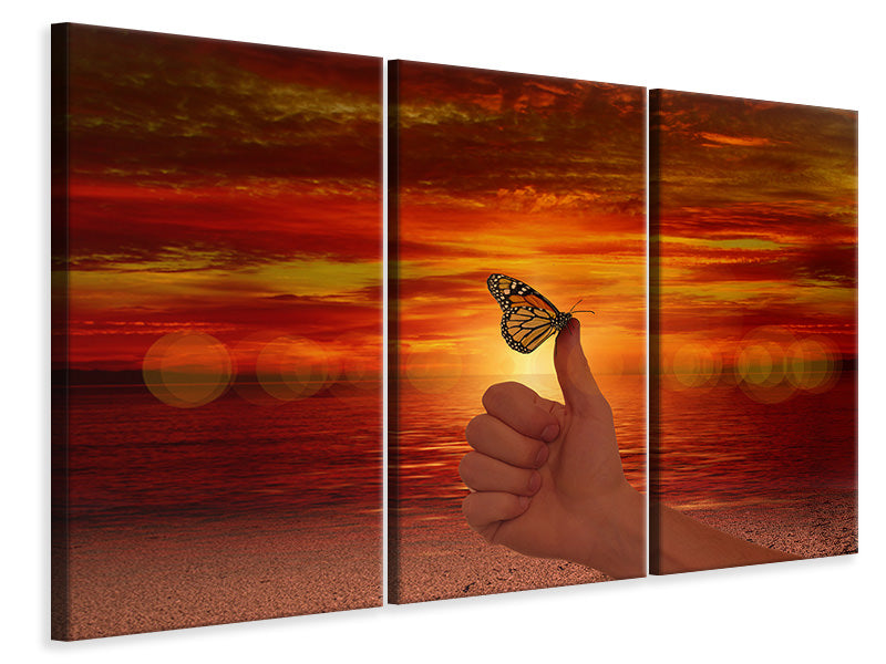 Leinwandbild 3-teilig Der Schmetterling im Abendlicht
