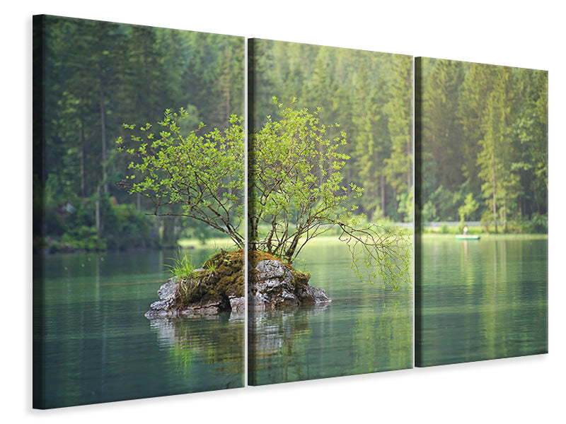 Leinwandbild 3-teilig Der Teich im Wald