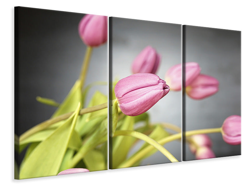 Leinwandbild 3-teilig Der Tulpenstrauss in rosa