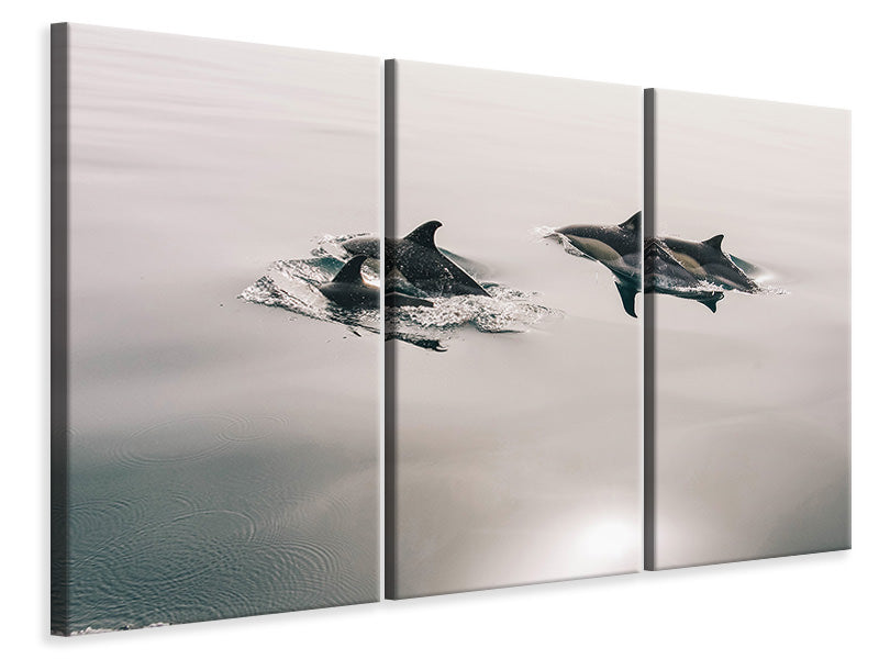 Leinwandbild 3-teilig Die Delfine