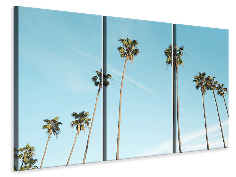Leinwandbild 3-teilig Ein Himmel voller Palmen