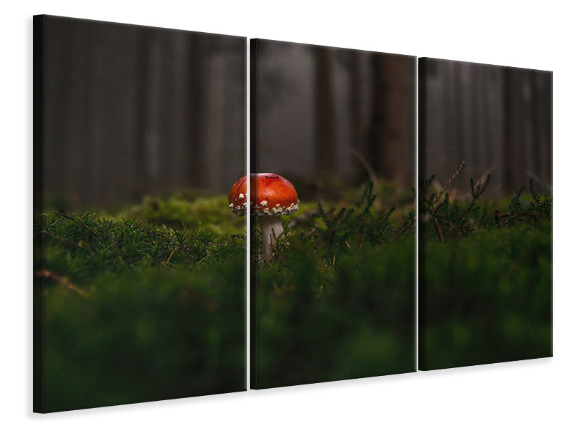 Leinwandbild 3-teilig Ein Pilz im Wald