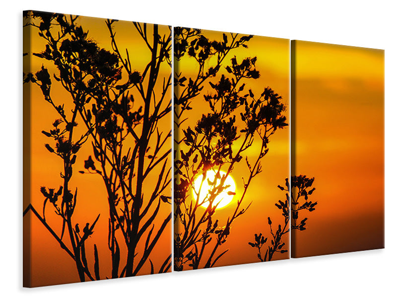 Leinwandbild 3-teilig Ein Strauch im Sonnenuntergang