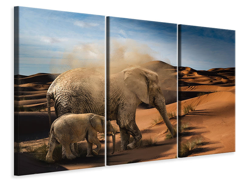 Leinwandbild 3-teilig Elefanten in der Wüste