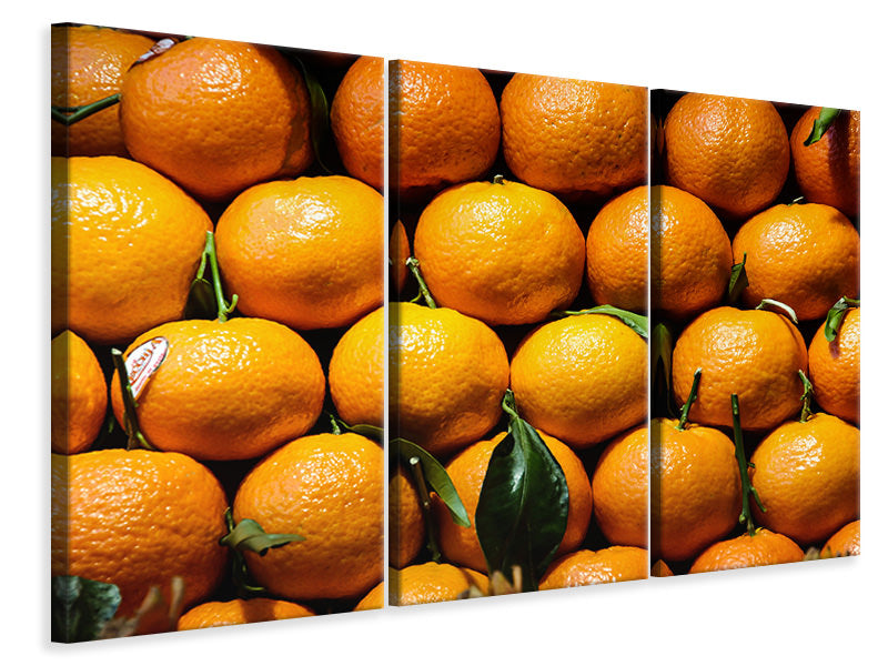 Leinwandbild 3-teilig Frische Orangen