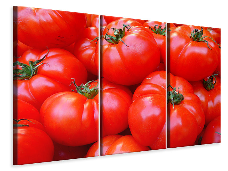 Leinwandbild 3-teilig Frische Tomaten