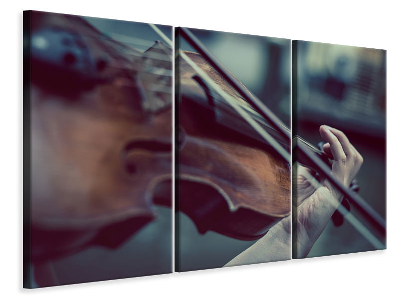 Leinwandbild 3-teilig Geigenspieler