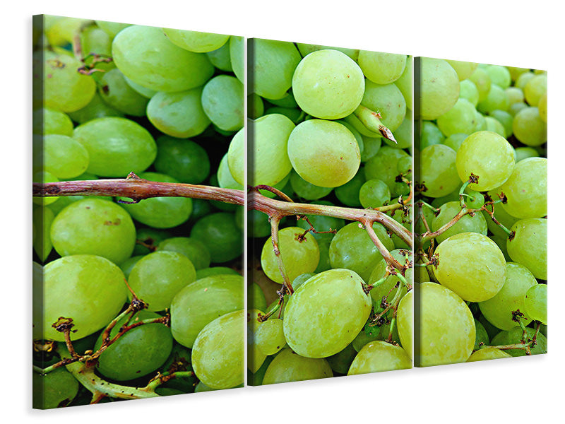 Leinwandbild 3-teilig Grüne Weintrauben