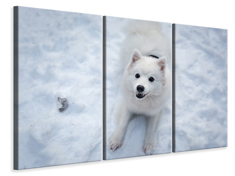 Leinwandbild 3-teilig Hunde Freude im Schnee