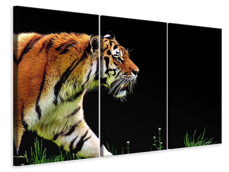 Leinwandbild 3-teilig Imposanter Tiger