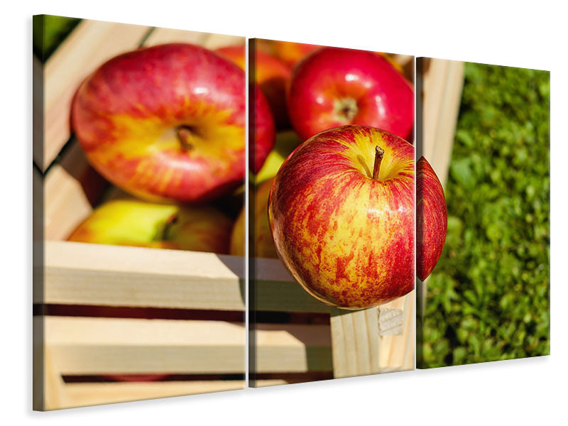 Leinwandbild 3-teilig Kiste mit Äpfeln