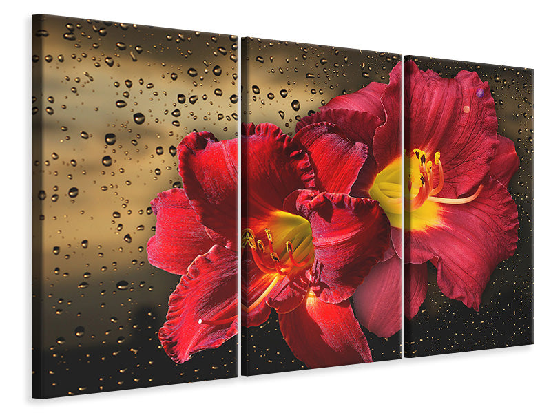 Leinwandbild 3-teilig Lilien Blüten mit Wassertropfen