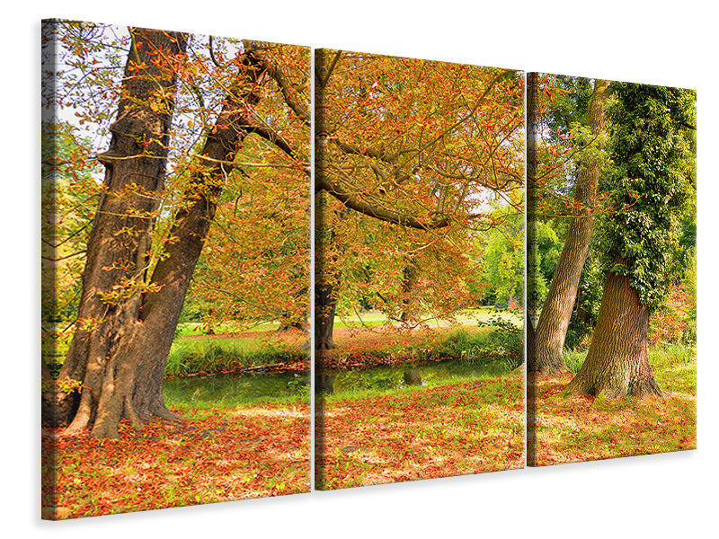 Leinwandbild 3-teilig Mitten unter Herbstbäumen