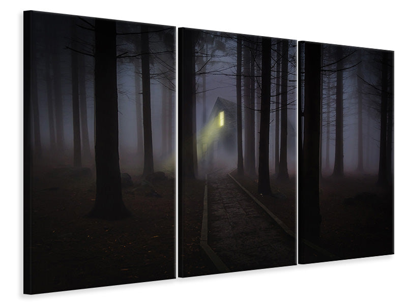 Leinwandbild 3-teilig Nebel im Wald