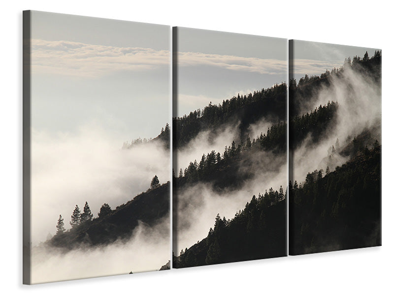 Leinwandbild 3-teilig Nebel in den Wälder