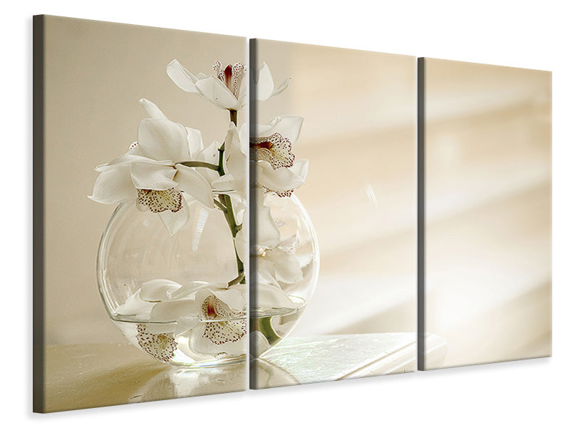Leinwandbild 3-teilig Orchidee im Glas
