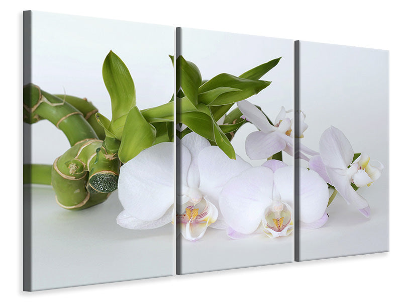 Leinwandbild 3-teilig Orchidee und Bambus