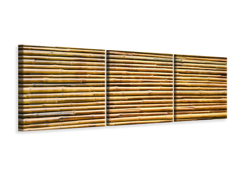 Panorama Leinwandbild 3-teilig Bambus