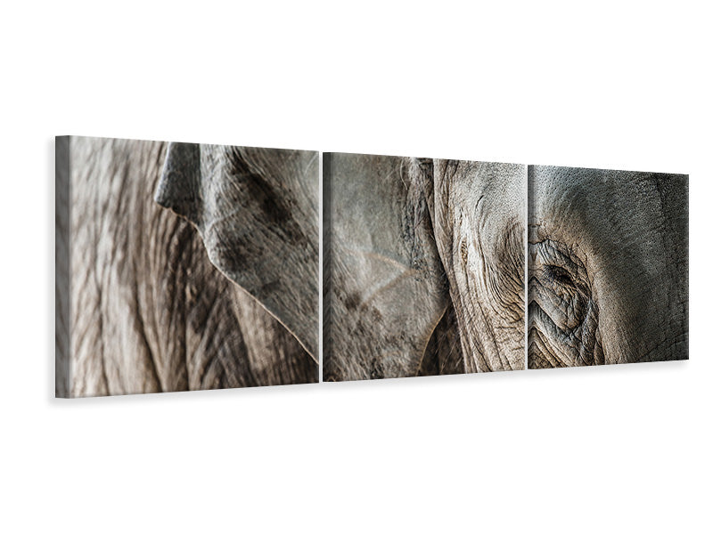 Panorama Leinwandbild 3-teilig Close Up Elefant