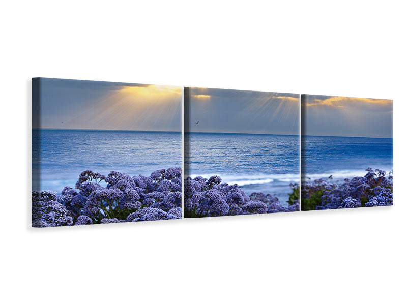 Panorama Leinwandbild 3-teilig Der Lavendel und das Meer