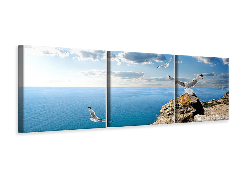 Panorama Leinwandbild 3-teilig Die Möwen und das Meer