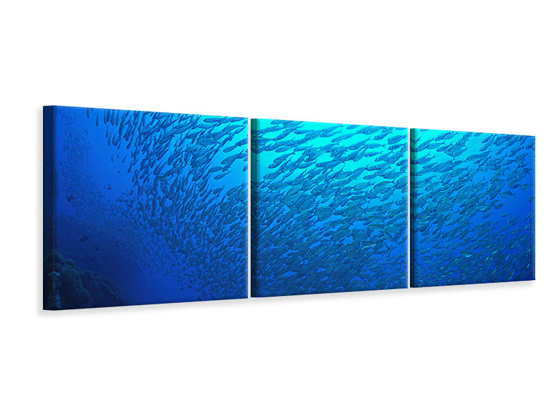 Panorama Leinwandbild 3-teilig Fischwelt