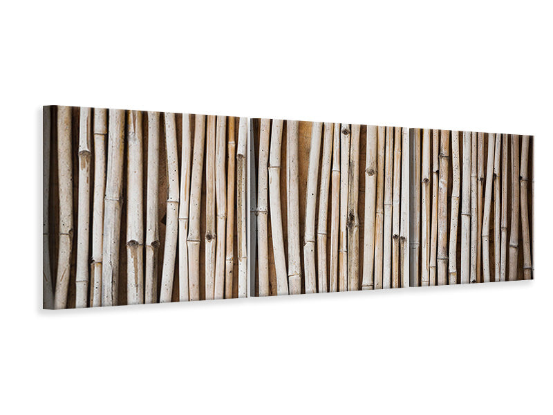 Panorama Leinwandbild 3-teilig Getrocknete Bambusrohre