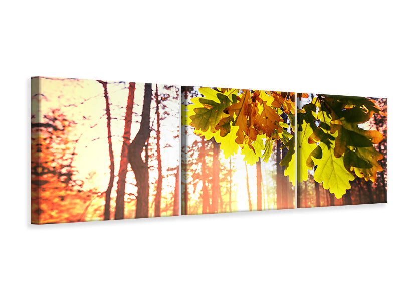Panorama Leinwandbild 3-teilig Herbst
