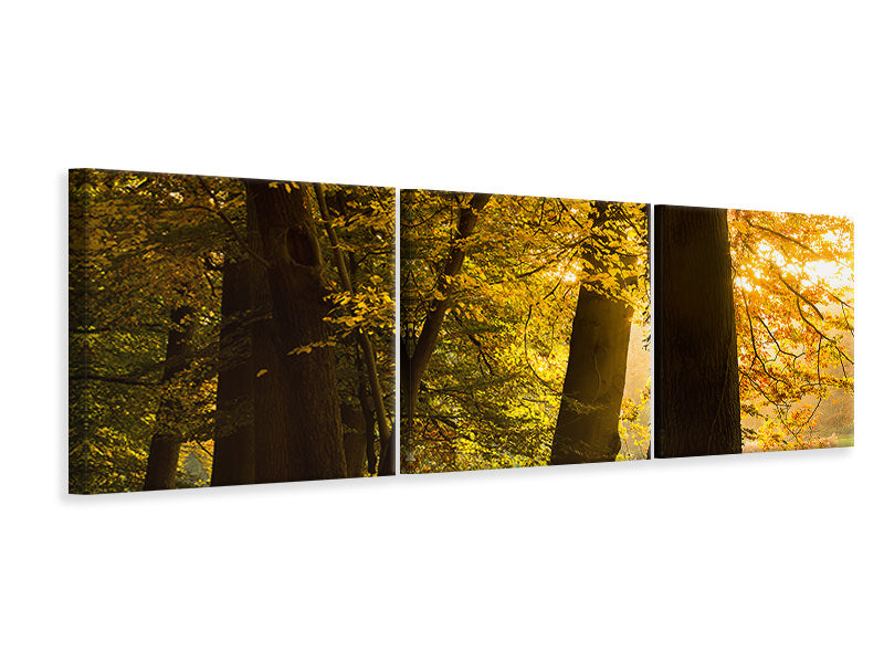 Panorama Leinwandbild 3-teilig Herbstlaub