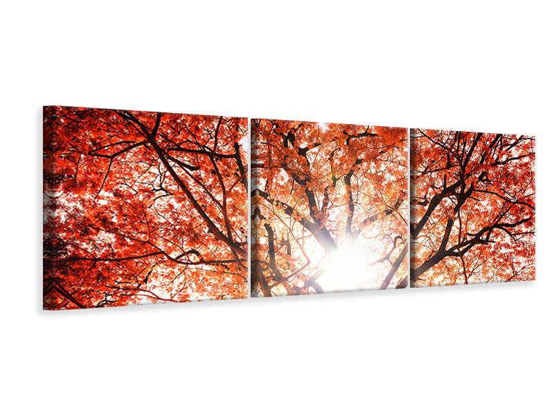 Panorama Leinwandbild 3-teilig Herbstlicht