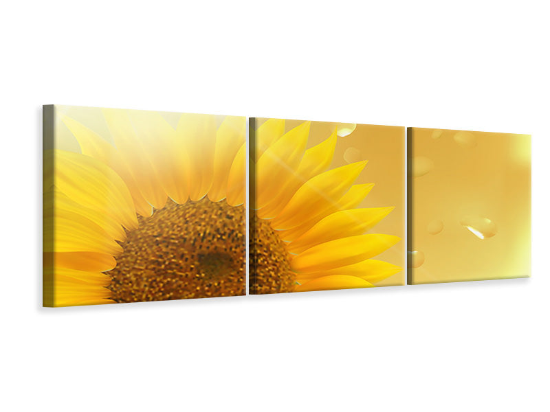 Panorama Leinwandbild 3-teilig Sonnenblume im Morgentau