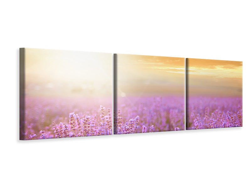 Panorama Leinwandbild 3-teilig Sonnenuntergang beim Lavendelfeld