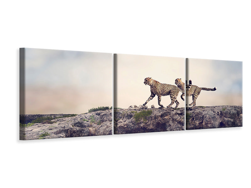 Panorama Leinwandbild 3-teilig Zwei Geparden