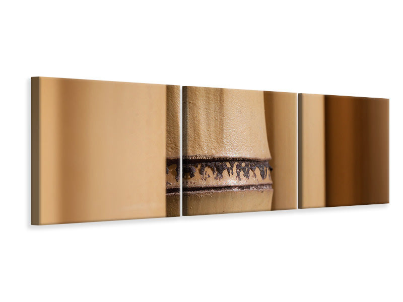 Panorama Leinwandbild 3-teilig Bambus Close up