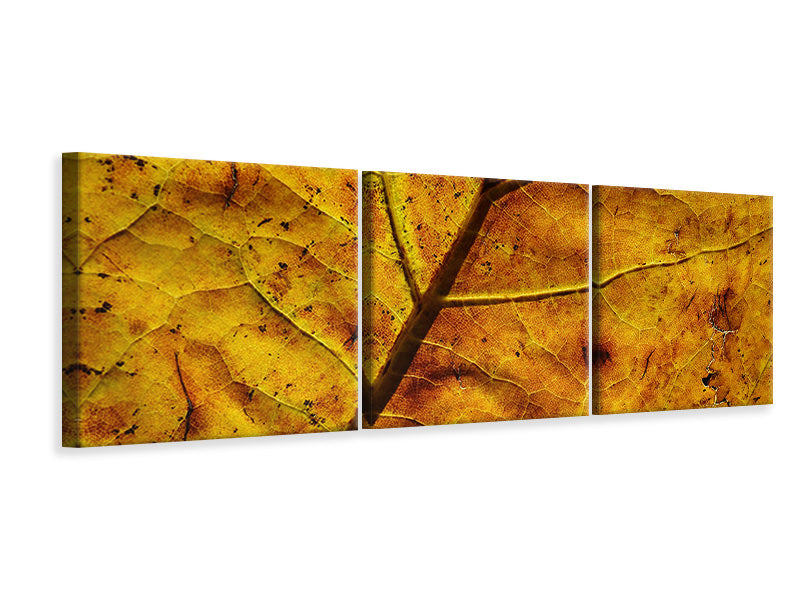 Panorama Leinwandbild 3-teilig Das Herbst Blatt