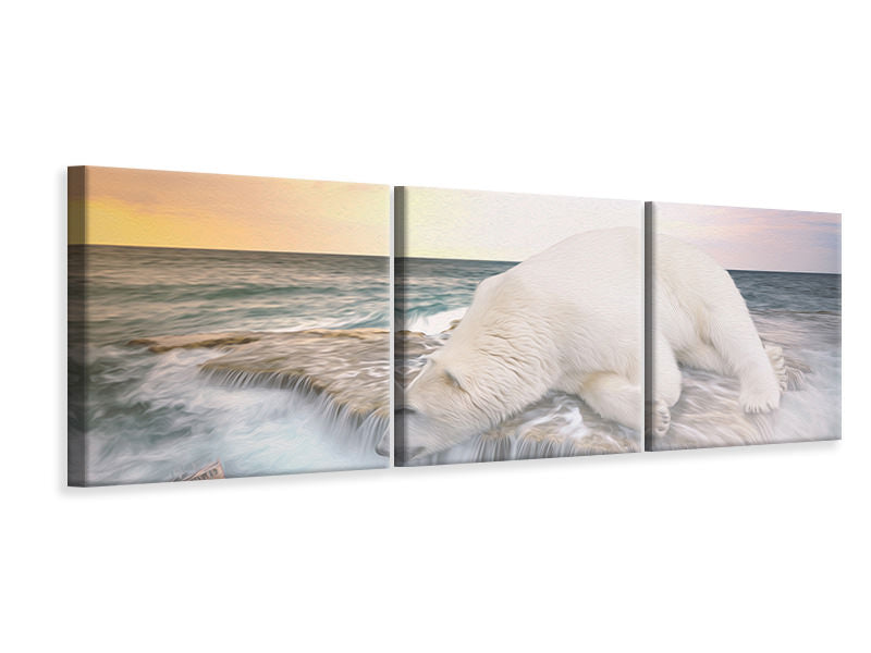 Panorama Leinwandbild 3-teilig Der Eisbär und das Meer