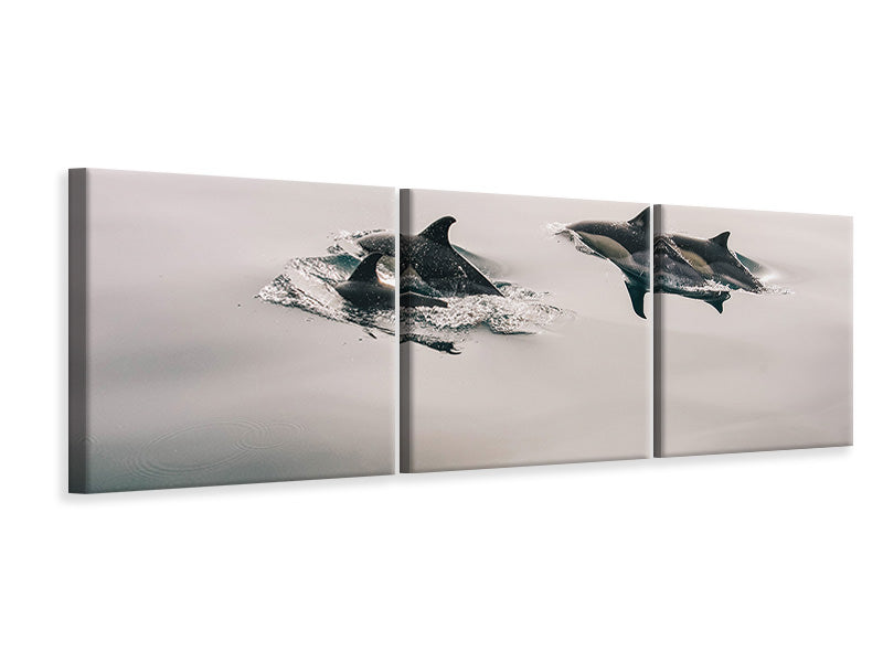 Panorama Leinwandbild 3-teilig Die Delfine