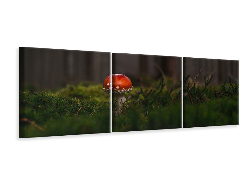 Panorama Leinwandbild 3-teilig Ein Pilz im Wald