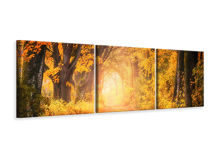 Panorama Leinwandbild 3-teilig Farben prächtiger Wald
