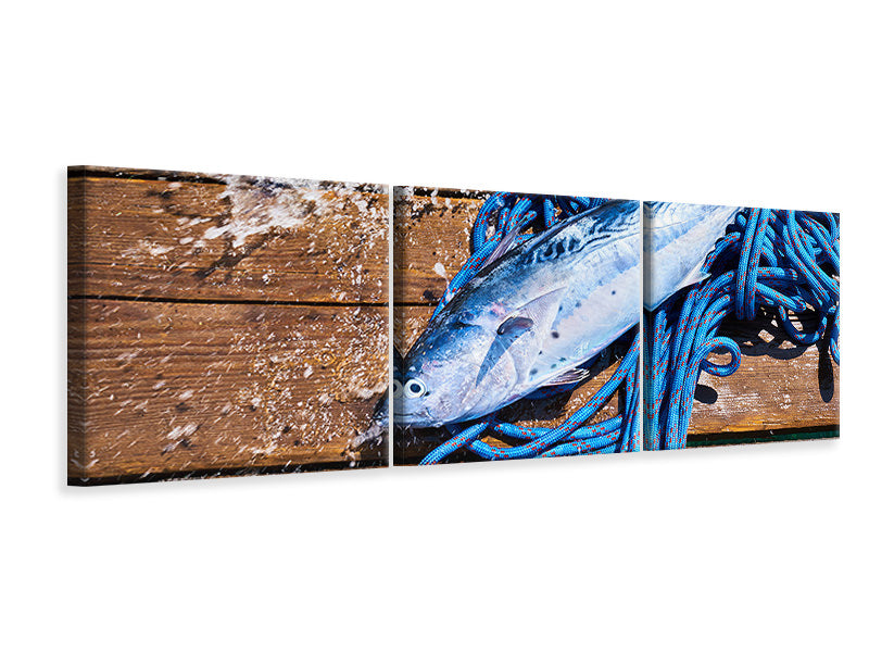 Panorama Leinwandbild 3-teilig Frisch gefangener Fisch