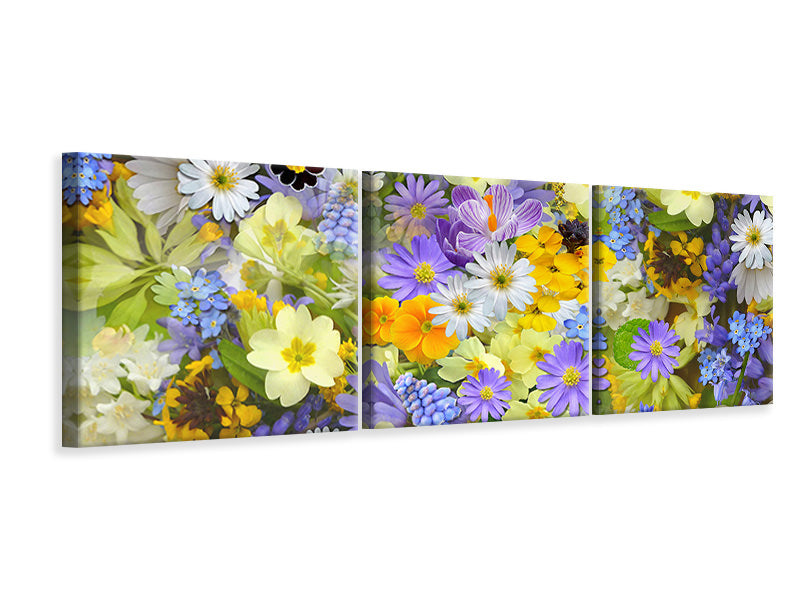 Panorama Leinwandbild 3-teilig Frische Frühlingsblumen