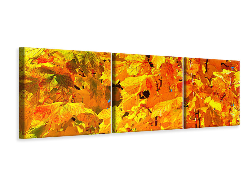Panorama Leinwandbild 3-teilig Herbst Blätter
