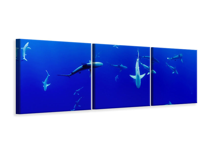 Panorama Leinwandbild 3-teilig Im Haifischbecken
