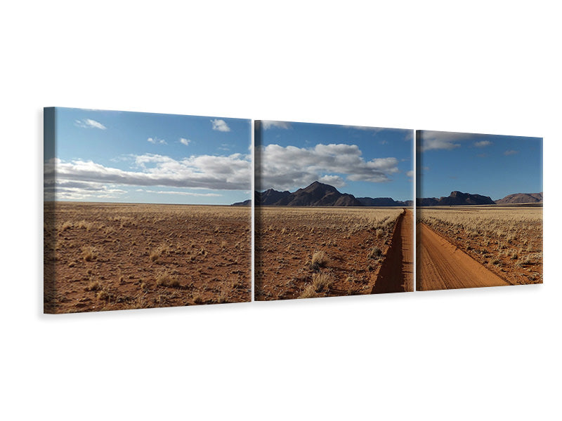 Panorama Leinwandbild 3-teilig In Namibia