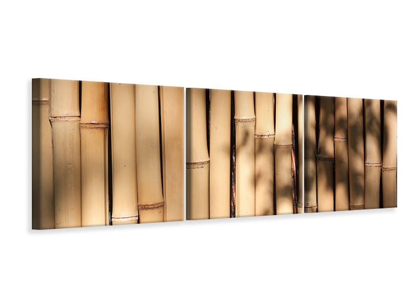 Panorama Leinwandbild 3-teilig Natürlicher Bambus