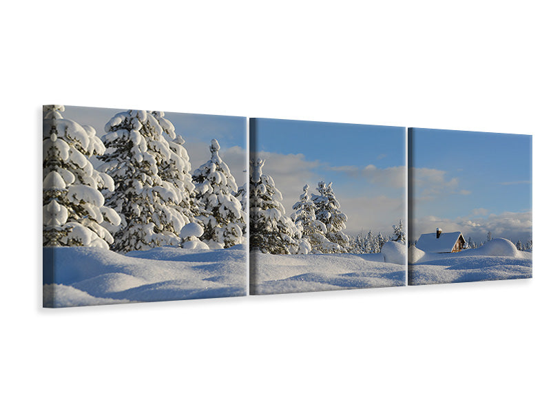 Panorama Leinwandbild 3-teilig Schöne Schnee Landschaft