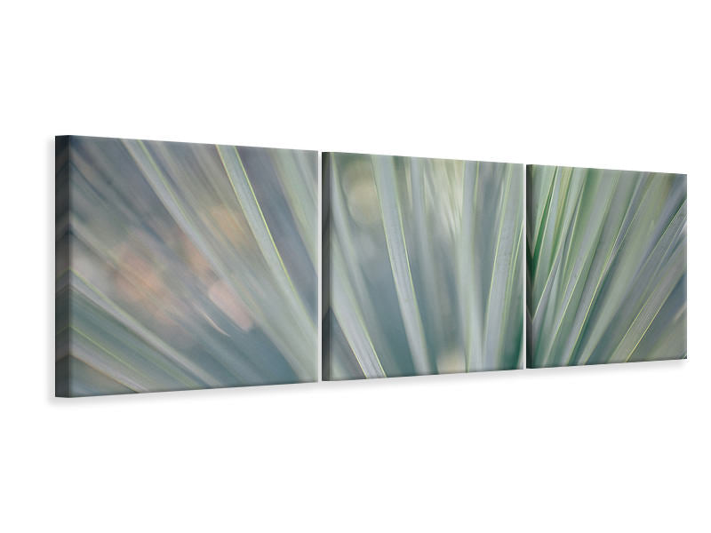 Panorama Leinwandbild 3-teilig Streifen von Pflanze